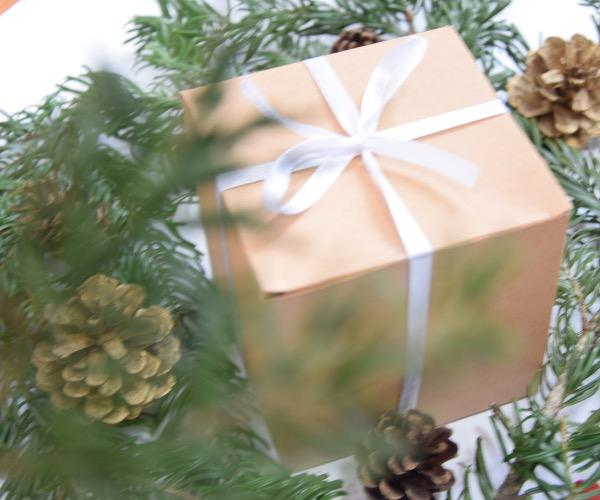 Sustainable Christmas Tips – Econess Store